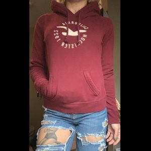 🐞 Hollister Pull Over Hoodie